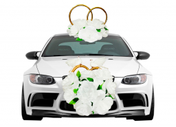 Аренда машины в Сочи на свадьбу